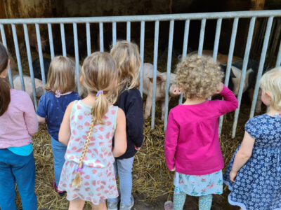 Impressionen des Alltags im Schwabenheimer Hof Kindergarten