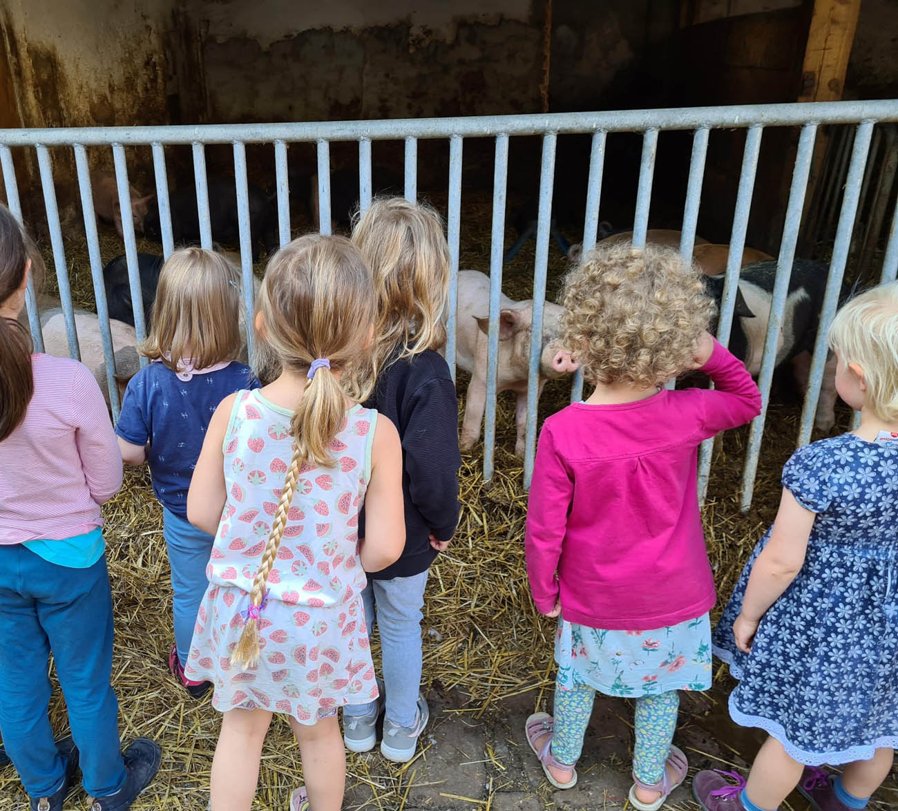 Impressionen des Alltags im Schwabenheimer Hof Kindergarten